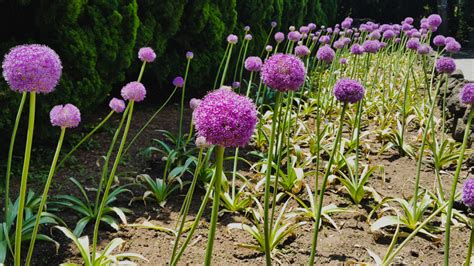 Jeju Island | A Guide to Hallim Park - LITTLE GREEN FIELD BOOK