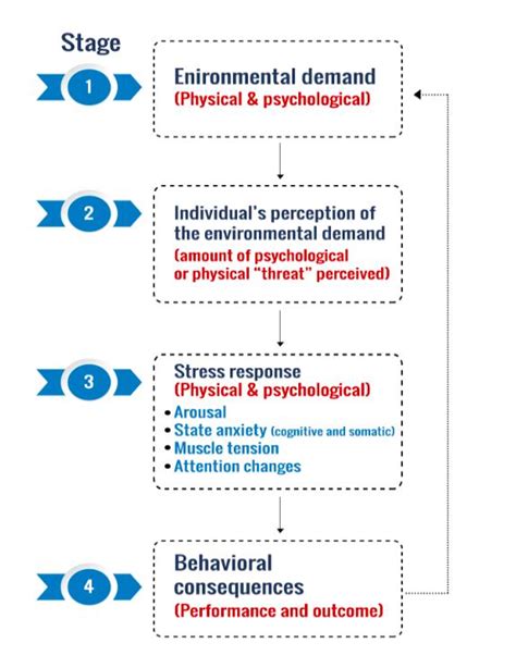 Arousal And Anxiety