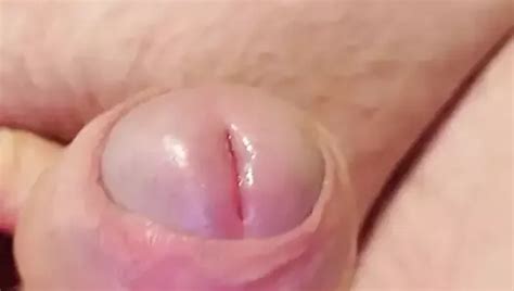 Sop For A Skype Friend Free Gay Friend Porn XHamster XHamster