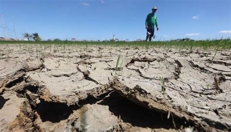 Probinsya Lungsod At Munisipalidad Sa Bansa Nagdeklara Ng State