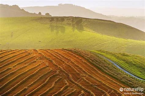 Exploring the Landscapes of South Downs National Park | Natureflip