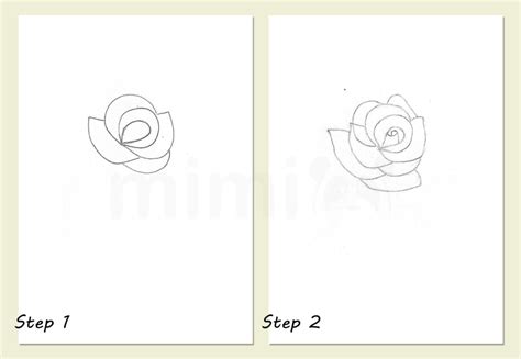 Rose Drawing: Step-by-Step Tutorial | Mimi Panda