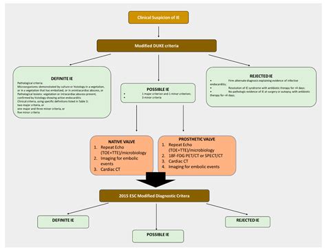 Bacterial Endocarditis Histology