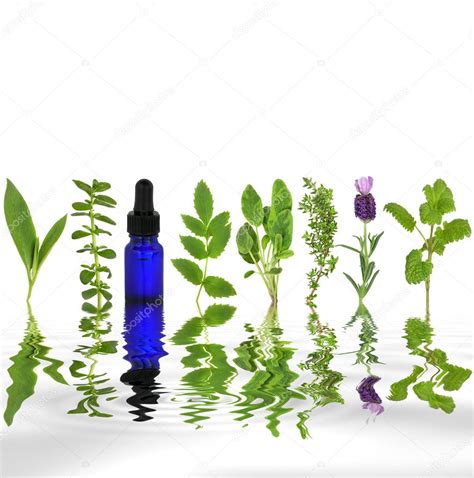 Herbal Therapy — Stock Photo © Marilyna 2058648