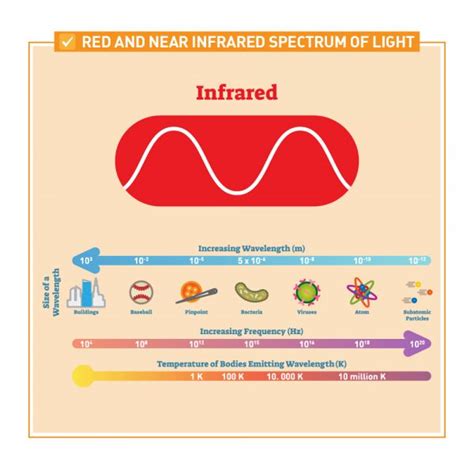 The Benefits of Red Light Therapy