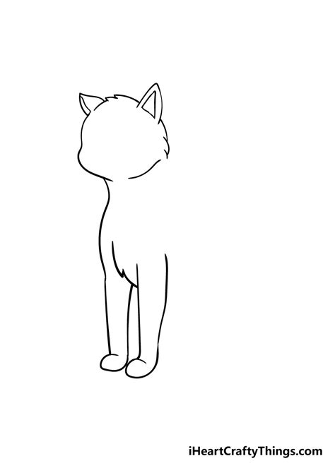 How To Draw A Cat Easy Realistic