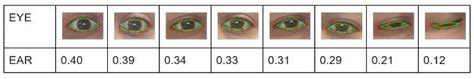 Eye Aspect Ratio Samples For Several Eye Images The 6 Dots Represented