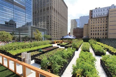 Riverpark Farm — GrowNYC Partners