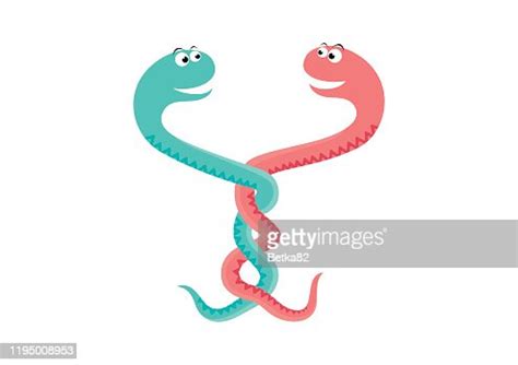 Two Intertwined Snakes Vector High-Res Vector Graphic - Getty Images