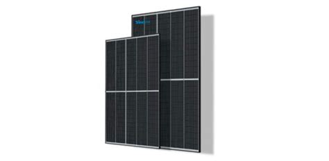 Trina Vertex S W Dual Glass Solar Panel Of The Summer