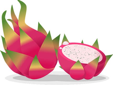 Fruta Del Dragón Comida Gráficos Vectoriales Gratis En Pixabay Pixabay