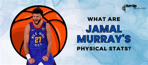 Where Did Jamal Murray Play College Ball Revup Sports