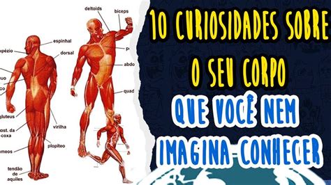 10 curiosidades sobre o seu corpo que ninguém vai ter coragem de te