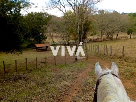 S Tio Fazenda Venda Em Cambui Mg Alqueire Rico Em Agua