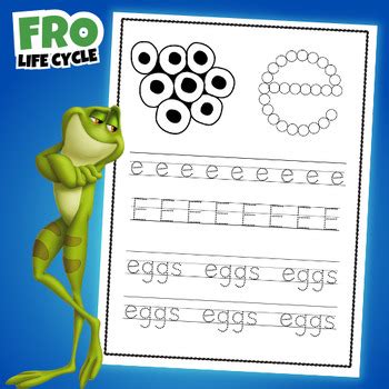 Printable Frog Life Cycle Worksheets by Superstar Worksheets | TPT