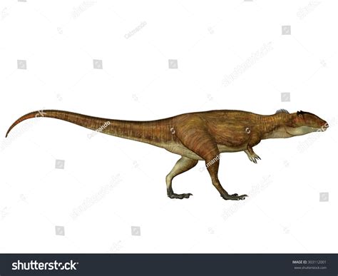 Carcharodontosaurus Side Profile Carcharodontosaurus Carnivorous ...