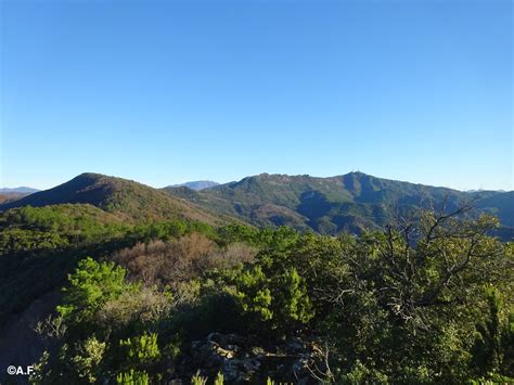 Monte Groppi Cima Stronzi Monte San Nicolao L Appenninista