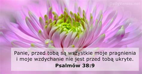 24 maja 2021 Biblijny werset dnia Psalmów 38 9 DailyVerses net