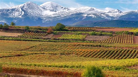 Rioja Red Blend - Blended Red Wine Varieties