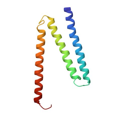 Rcsb Pdb 1fft The Structure Of Ubiquinol Oxidase From Escherichia Coli