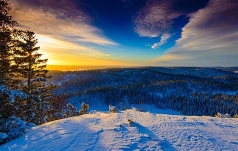 Sunny Winter Day Wallpapers - Wallpaper Cave