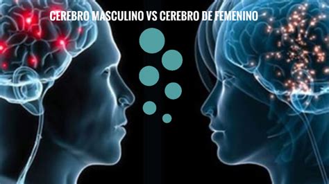 Cerebro Masculino Vs Femenino By Marcos Gonzalez On Prezi Next