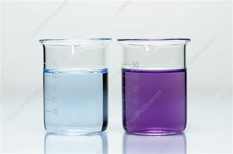 Biuret Test For Proteins Stock Image C039 1300 Science Photo Library