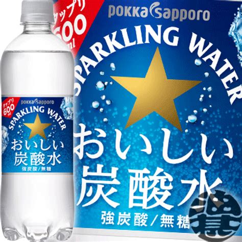 2ケース送料無料 地域限定 アサヒ ウィルキンソン タンサン 炭酸水 250ml缶×40本 75％以上節約