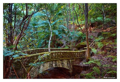 Panoramio Photo Of Cooper Park Park Garden Bridge Photo