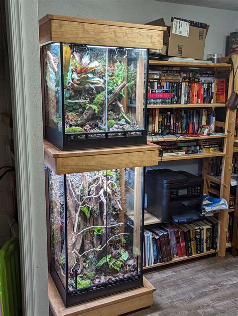 Dart Frog Vivarium Journal | Page 4 | The Planted Tank Forum