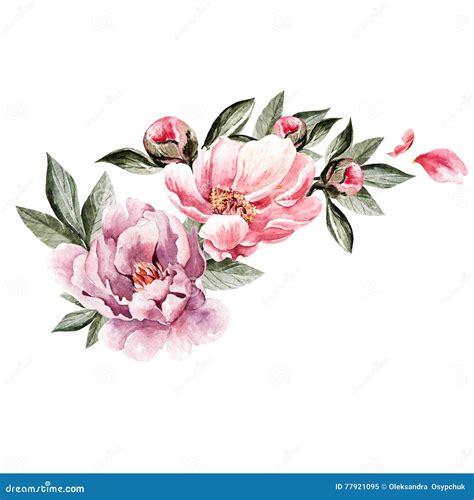 Bouquet Pivoine Dessin : Pivoine fleurs dessin et croquis avec line-art — Image vectorielle ...