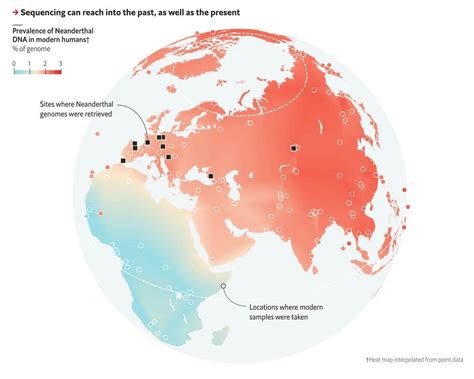 Prevalence Of Neanderthal Dna In Modern Humans Maps On The Web