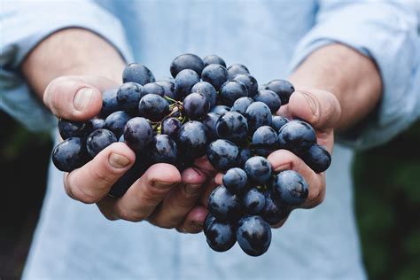 Las Variedades De Uva M S Utilizadas En Espa A Para Elaborar Vino