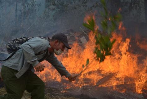 Un Incendio De Grandes Proporciones En Cuba No Puede Ser Controlado