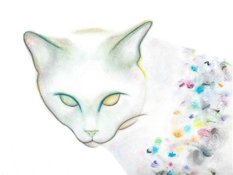 Cat Drawings — Kellas Campbell Art