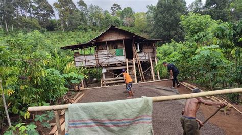 Nikmatnya Tinggal Di Pondok Kebun Hutan Youtube