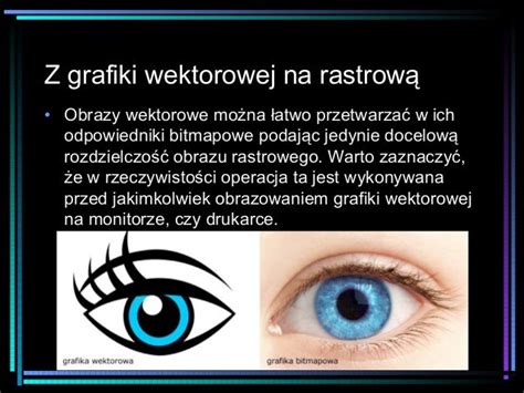 Grafika Wektorowa