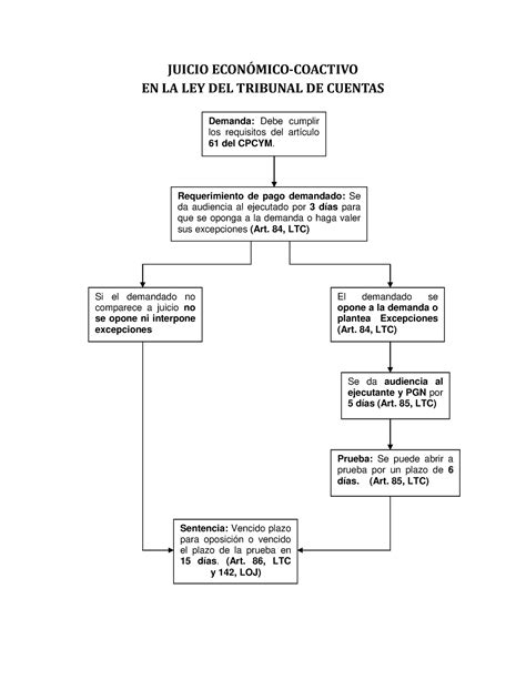 Esquema Del Juicio Economico Coactivo De La Ley Del Tribunal De Cuentas