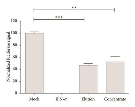 Ifn α Induced Factors Inhibit Hcv Replication Huh75 Cells Were Seeded Download Scientific