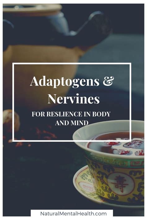 Adaptogens And Nervines Have Gained Popularity As Options To Support