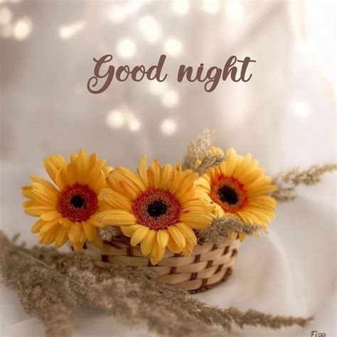 three sunflowers in a basket with the words good night