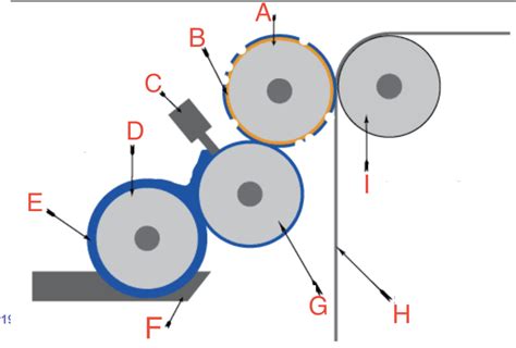 Flexography Diagram | Quizlet