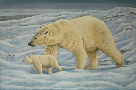 Polar Bear Art - Fine Art America | Polar bear, Bear paintings, Bear ...