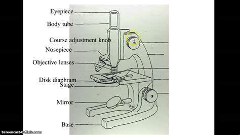 Compound Microscope Drawing at GetDrawings | Free download