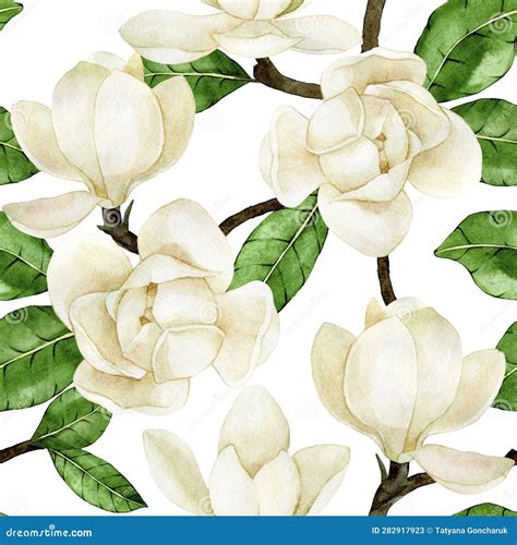 Watercolor Seamless Pattern With White Magnolias Vintage Delicate