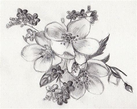 Pencil Sketch Images Flowers at PaintingValley.com | Explore collection ...