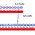 Producing Human Insulin Using Recombinant Dna Walter Gilbert Cshl