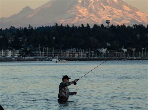 Puget Sound Fishing The Complete Guide