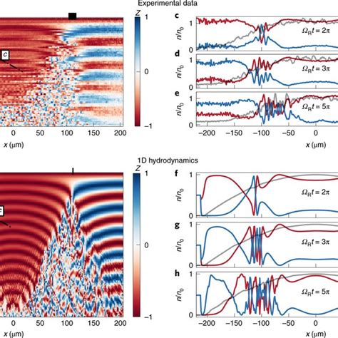 Evolution Of Magnetization A Measured Magnetization Along The