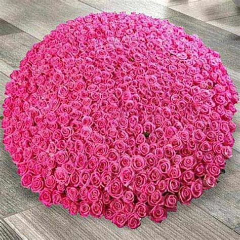 500 Dark Pink Roses Arrangement Delivery in Singapore - FNP SG